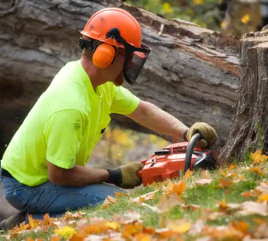 tree services Columbus Grove